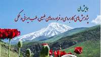  فراخوان همایش ملی پژوهش های کاربردی در فرآورده های طبیعی، طب ایرانی و مکمل